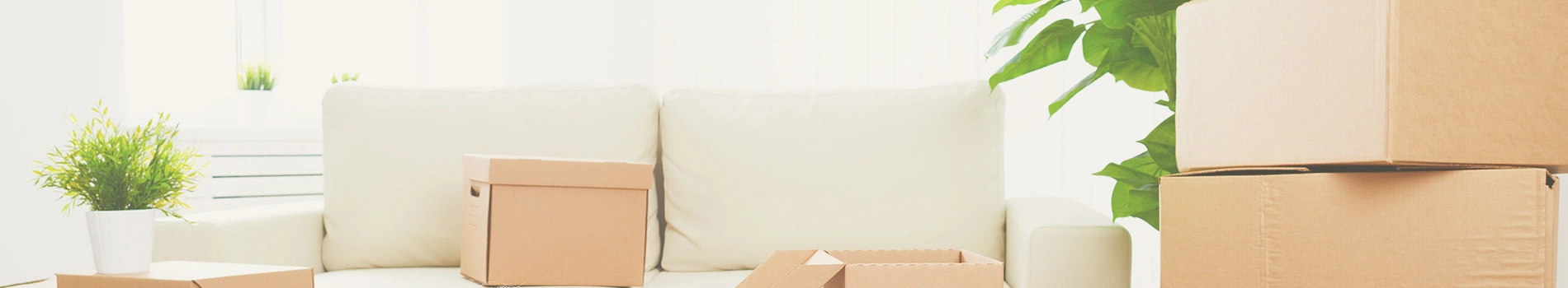Packers and Movers Shamli